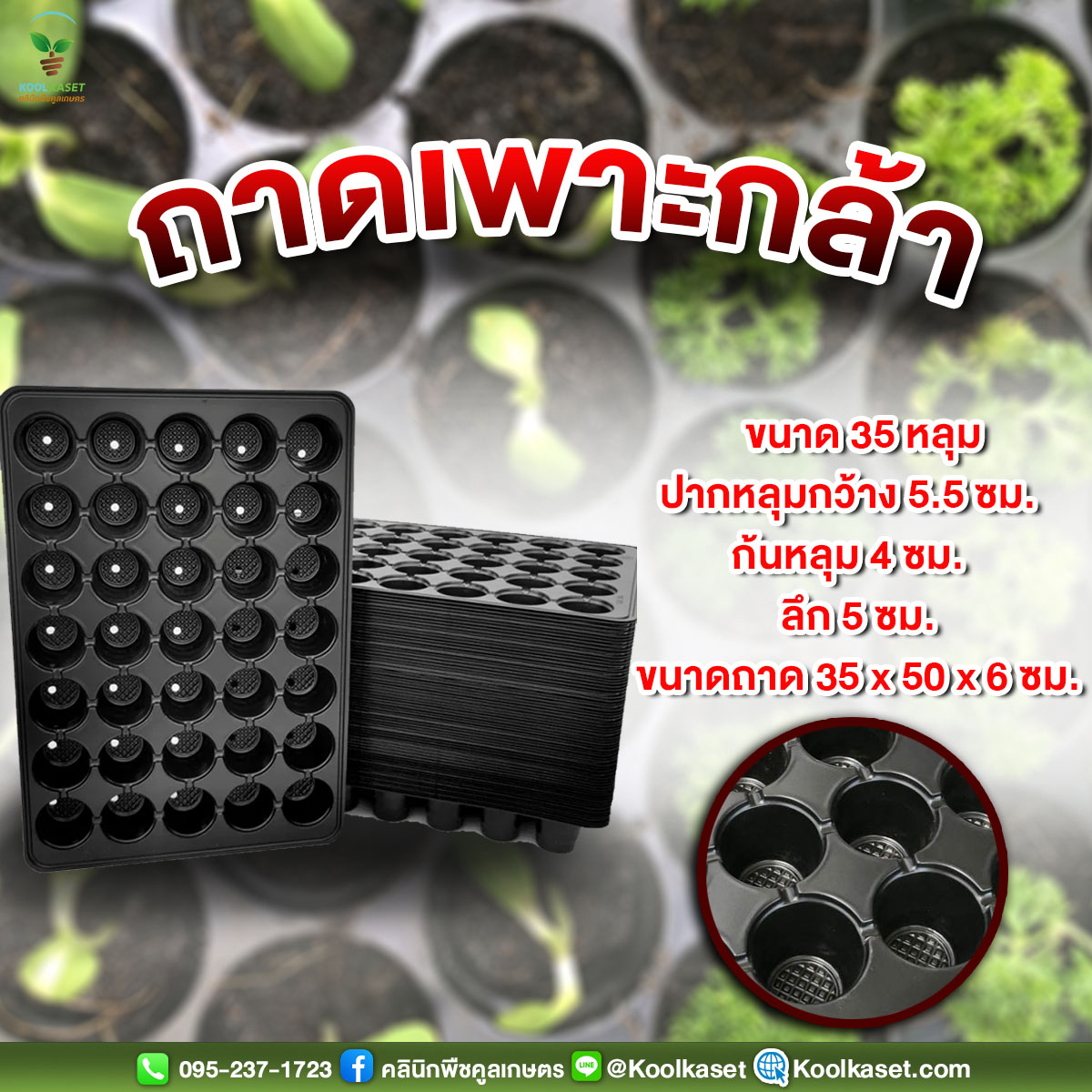 ถาดเพาะกล้า 35 หลุม