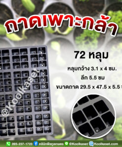 ถาดเพาะกล้า มีรูระบายน้ำ 72 หลุม ขนาดลึก 5.5 ซม คลินิกพืชคูลเกษตร