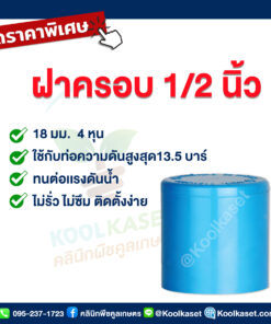 ฝาครอบท่อ PVC ฝาปิดปลายท่อ ฝาอุดท่อ 0.5 นิ้ว 4 หุน คลินิกพืชคูลเกษตร
