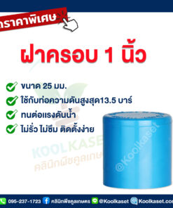 ฝาครอบท่อ PVC ฝาปิดปลายท่อ ฝาอุดท่อ 1 นิ้ว 8 หุน คลินิกพืชคูลเกษตร