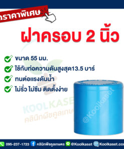 ฝาครอบท่อ PVC ฝาปิดปลายท่อ ฝาอุดท่อ 2 นิ้ว 16 หุน คลินิกพืชคูลเกษตร