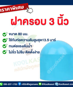 ฝาครอบท่อ PVC ฝาปิดปลายท่อ ฝาอุดท่อ 3 นิ้ว 24 หุน คลินิกพืชคูลเกษตร