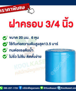 ฝาครอบท่อ PVC ฝาปิดปลายท่อ ฝาอุดท่อ 6 นิ้ว 48 หุน คลินิกพืชคูลเกษตร