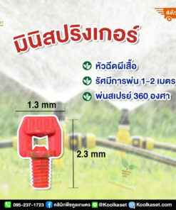มินิสปิงเกอร์ หัวฉีดผีเสื้อ คลินิกพืชคูลเกษตร