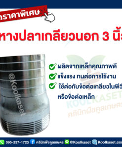 หางปลาเหล็ก แบบเกลียวนอก ขนาด 3 นิ้ว คลินิกพืชคูลเกษตร