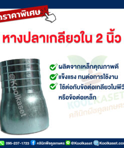 หางปลาเหล็ก แบบเกลียวใน ขนาด 2 นิ้ว  คลินิกพืชคูลเกษตร