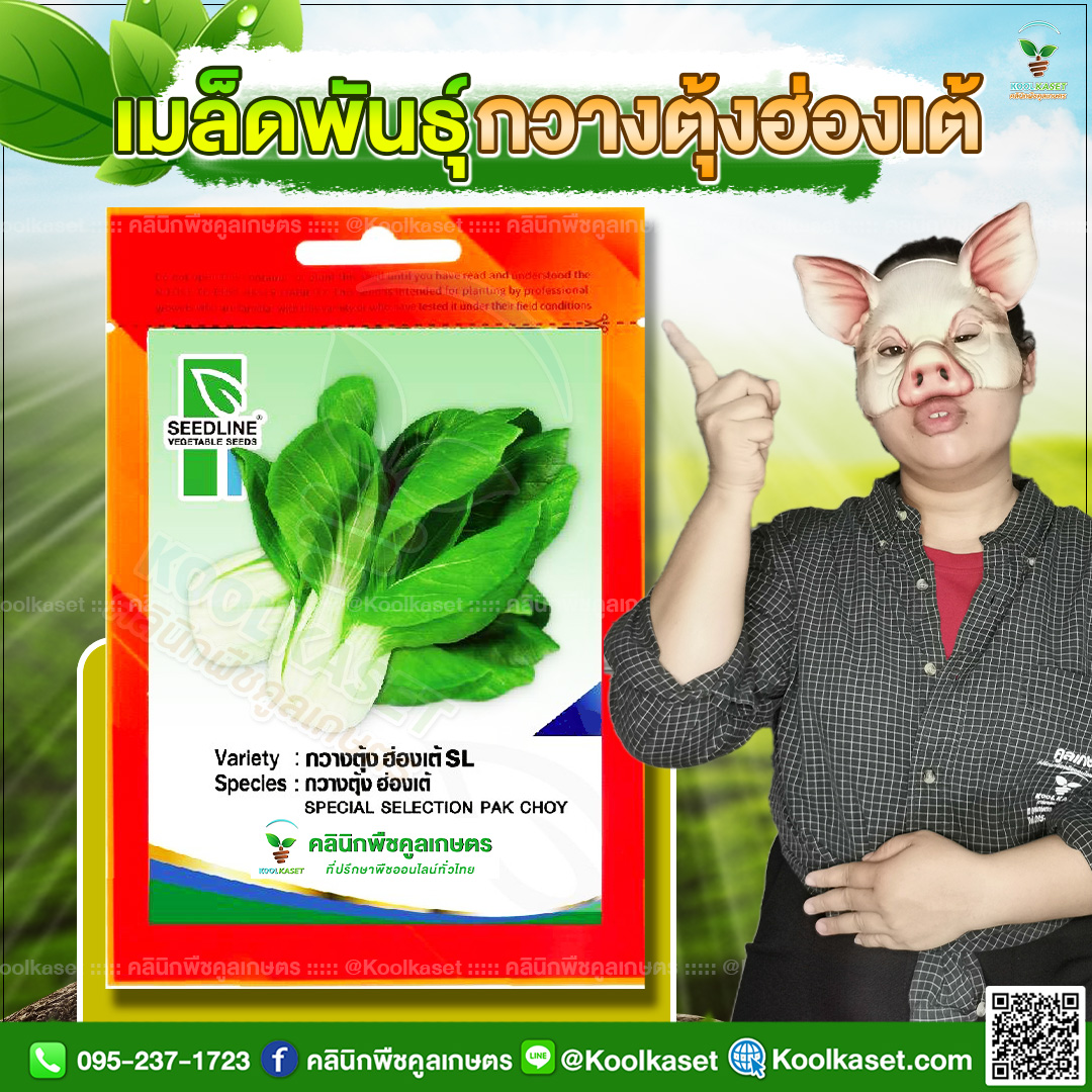 07 ปกซองเมล็ดผัก กวางตุ้งฮ่องเต้ JPG80