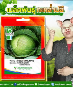 พันธุ์ผัก กะหล่ำหัว ไทร์อัมพ์ SL ซีดไลน์ หัวแน่น หัวใหญ่ เก็บเกี่ยวไว รสชาติดี สีเขียวเข้ม คลินิกพืชคูลเกษตร