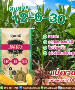 ปุ๋ยสูตร 12-6-30 ตราท็อปวัน ขยายขนาดหัว สะสมแป้ง หัวใหญ่ เต็มสูตร แท้ 100% คูลเกษตร