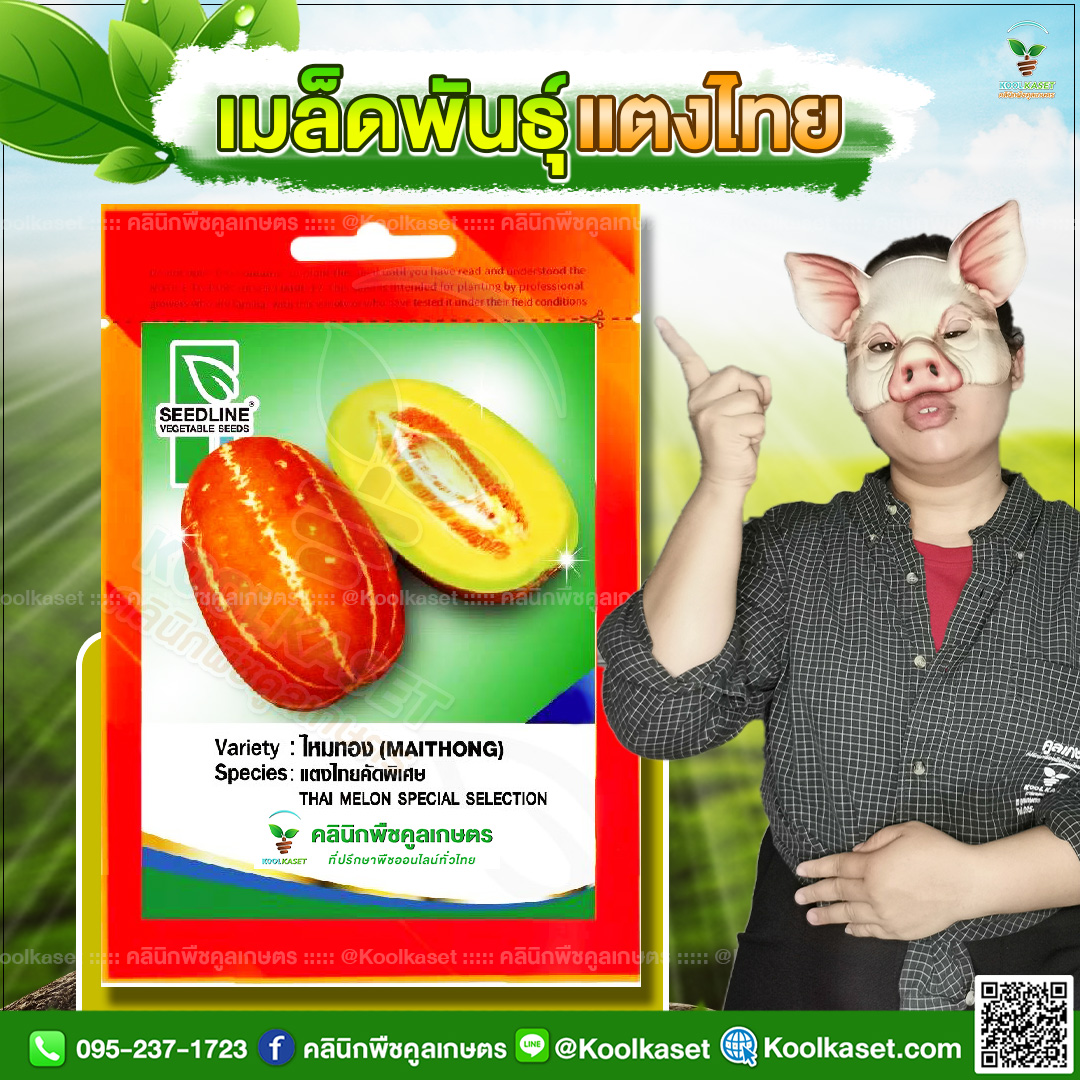 33 ปกซองเมล็ดผัก แตงไทย JPG80