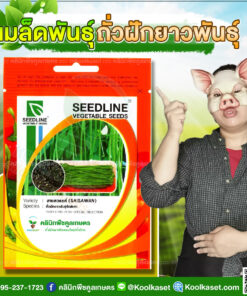 พันธุ์ผัก ถั่วฝักยาว สายสวรรค์ SL ซีดไลน์ ฝักยาว ฝักสีเขียว เนื้อแน่น ไม่ฝ่อง่าย คลินิกพืชคูลเกษตร