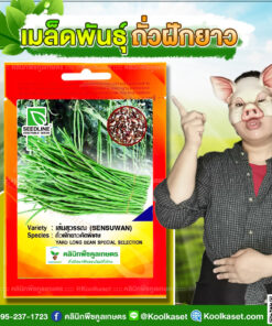 พันธุ์ผัก ถั่วฝักยาว เส้นสุวรรณ SL ซีดไลน์ ติดฝักดก ฝักสีเขียวสด ผิวเรียบ ทนทานต่อโรค คลินิกพืชคูลเกษตร