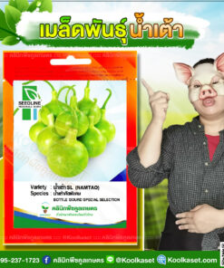 พันธุ์ผัก น้ำเต้า SL ซีดไลน์ โตไว สีเขียวอ่อน ผลทรงกลม รสหวาน ผลผลิตดี คลินิกพืชคูลเกษตร