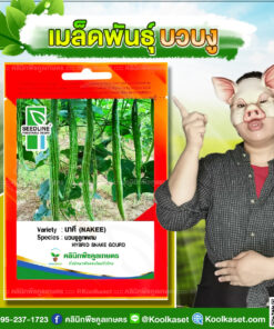 พันธุ์ผัก บวบงู นาคี SL ซีดไลน์ ผลตรงยาว สีเขียวสวย ลายขาวสลับ ผลผลิตสูง คลินิกพืชคูลเกษตร