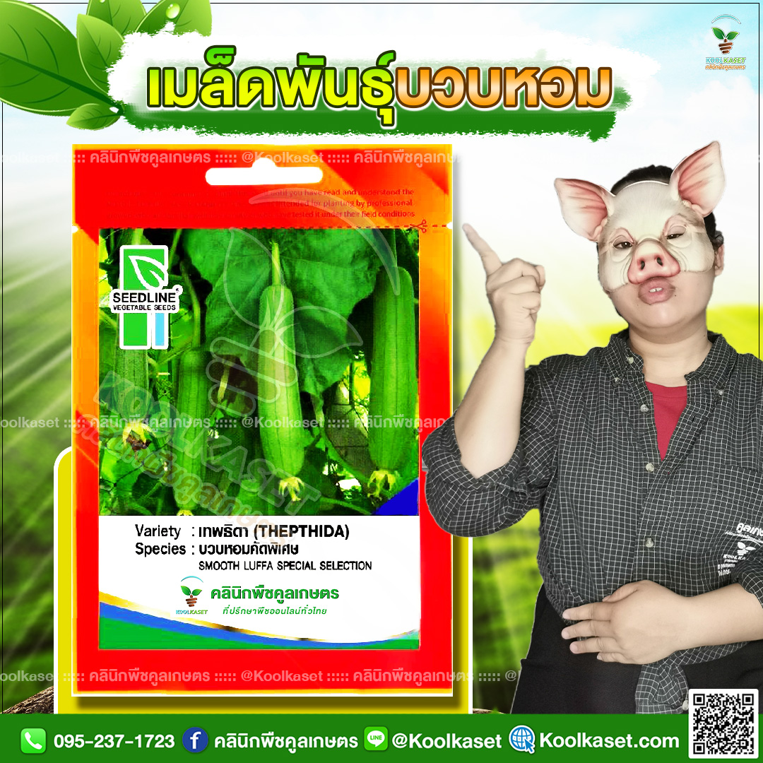 52 ปกซองเมล็ดผัก บวบหอม JPG80