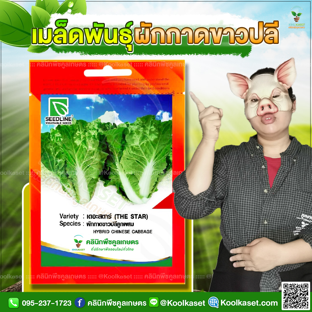 59 ปกซองเมล็ดผัก ผักกาดขาวปลี JPG80