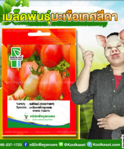 พันธุ์ผัก มะเขือเทศ รสทิพย์ SL ซีดไลน์ รสชาติดีต้นแข็งแรง งอกดี โตไว เนื้อผลหนา คลินิกพืชคูลเกษตร