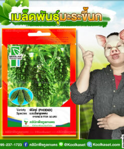 เมล็ดพันธุ์ผัก มะระขี้นกลูกผสม ฟินิกช์ ซีดไลน์ สีเขียวเข้ม ผลดก เนื้อหนา ทนโรค ผลผลิตสูง คลินิกพืชคูลเกษตร