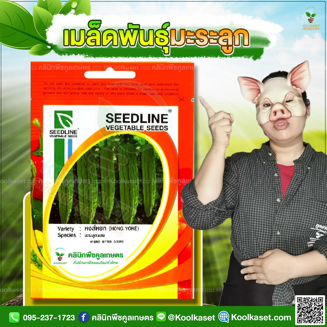 96 ปกซองเมล็ดผัก มะระลูก JPG80