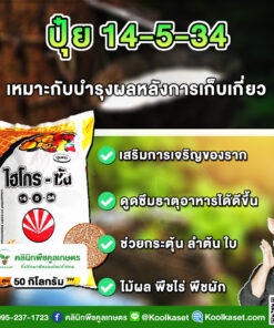 ปุ๋ยสูตร 14-5-34 ตราSCไฮโกร เร่งลำต้น ใบ พืชไร่ พืชสวน พืชผัก เต็มสูตร แท้ 100% คูลเกษตร