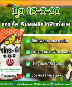 ปุ๋ยสูตร 15-5-20 ตราSCไฮโกร บำรุงผล เพิ่มน้ำหนัก เต็มสูตร แท้ 100% คูลเกษตร