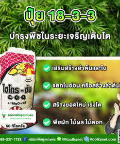 ปุ๋ยสูตร 18-3-3 ตราSCไฮโกร เร่งการ เจริญเติบโต ของพืช เต็มสูตร แท้ 100% คูลเกษตร