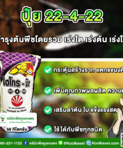 ปุ๋ยสูตร 22-4-22 ตราSCไฮโกร เร่ง การเจริญเติบโต ลำต้น เต็มสูตร แท้ 100% คูลเกษตร