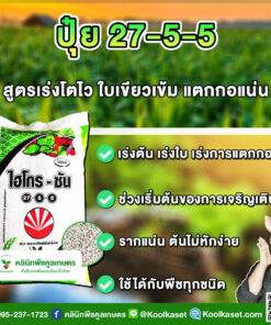 ปุ๋ยสูตร 27-5-5 ตราSCไฮโกร เร่งราก แตกกอ เขียวทน เต็มสูตร แท้ 100% คูลเกษตร