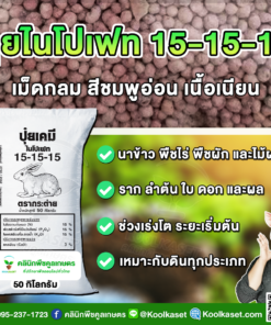 ปุ๋ยสูตร 15-15-15 สูตรเสมอ ตรากระต่าย เร่งโต ระยะ เริ่มต้น เต็มสูตร แท้ 100% คูลเกษตร