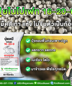 ปุ๋ยเม็ด 16-20-0 ปุ๋ยรองพื้น ตรากระต่าย แตกราก แตกกอดี เต็มสูตร แท้ 100% คูลเกษตร