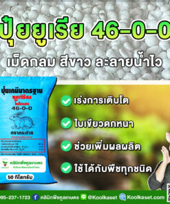 ปุ๋ยเม็ด 46-0-0 ยูเรีย ปุ๋ยโฟม ตรากระต่าย เต็มสูตร แตกราก แตกกอดี แท้ 100% คูลเกษตร