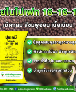 ปุ๋ยสูตร 16-16-16  ตรากระต่าย บำรุง ราก ต้น ดอก เต็มสูตร แท้ 100% คูลเกษตร