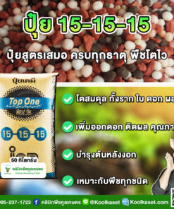 ปุ๋ยสูตร 15-15-15 ตราท็อปวัน เร่งโต ลำต้น ใบ ดอก เต็มสูตร แท้ 100% คูลเกษตร