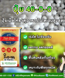 ปุ๋ยสูตร 46-0-0 ตราท็อปวัน เร่งต้น ข้าวช่วงตั้งท้อง เต็มสูตร แท้ 100% คูลเกษตร