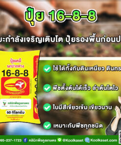 ปุ๋ยสูตร 16-8-8 ตรานกปากห่าง ใบเขียวเข้ม ใช้ได้กับทุกพืช เต็มสูตร แท้ 100% คูลเกษตร