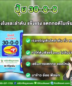 ปุ๋ยสูตร 30-0-0 ตรานกปากห่าง แตกกอ แตกยอดดี นาข้าว อ้อย พืชผัก เต็มสูตร แท้ 100% คูลเกษตร