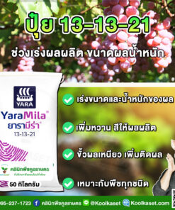 ปุ๋ยสูตร 13-13-21 ตรายาร่า ขยายผล เพิ่มน้ำหนัก เต็มสูตร แท้ 100% คูลเกษตร