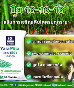 ปุ๋ยสูตร 16-16-16 ตรายาร่า สูตรเสมอ บำรุงต้น ดอก เต็มสูตร แท้ 100% คูลเกษตร