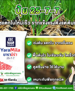 ปุ๋ยสูตร 25-7-7 ตรายาร่า เร่งต้น เร่งโต เร่งแตกใบ เต็มสูตร แท้ 100% คูลเกษตร