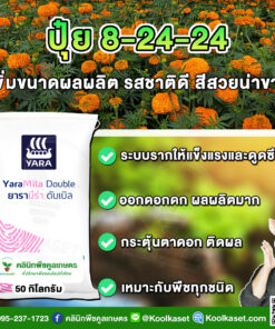 ปุ๋ยสูตร 8-24-24 ตรายาร่า เร่งผล เพิ่มขนาด เพิ่มรสชาติ เต็มสูตร แท้ 100% คูลเกษตร