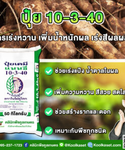 ปุ๋ยสูตร 10-3-40 ตราแนนซี่ เต็มสูตร บำรุงผล สร้างแป้ง แท้ 100% คูลเกษตร