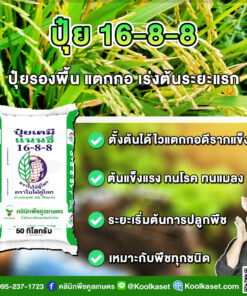 ปุ๋ยสูตร 16-8-8 ตราแนนซี่ เต็มสูตร แท้ 100% คูลเกษตร