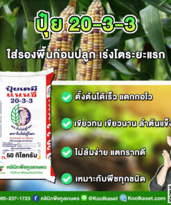 ปุ๋ยสูตร 20-3-3 ตราแนนซี่ เต็มสูตร แท้ 100% คูลเกษตร