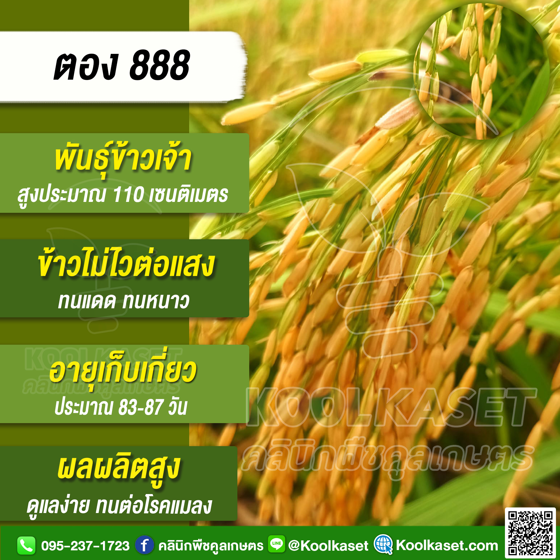 ตอง 888 14-10-2567 2