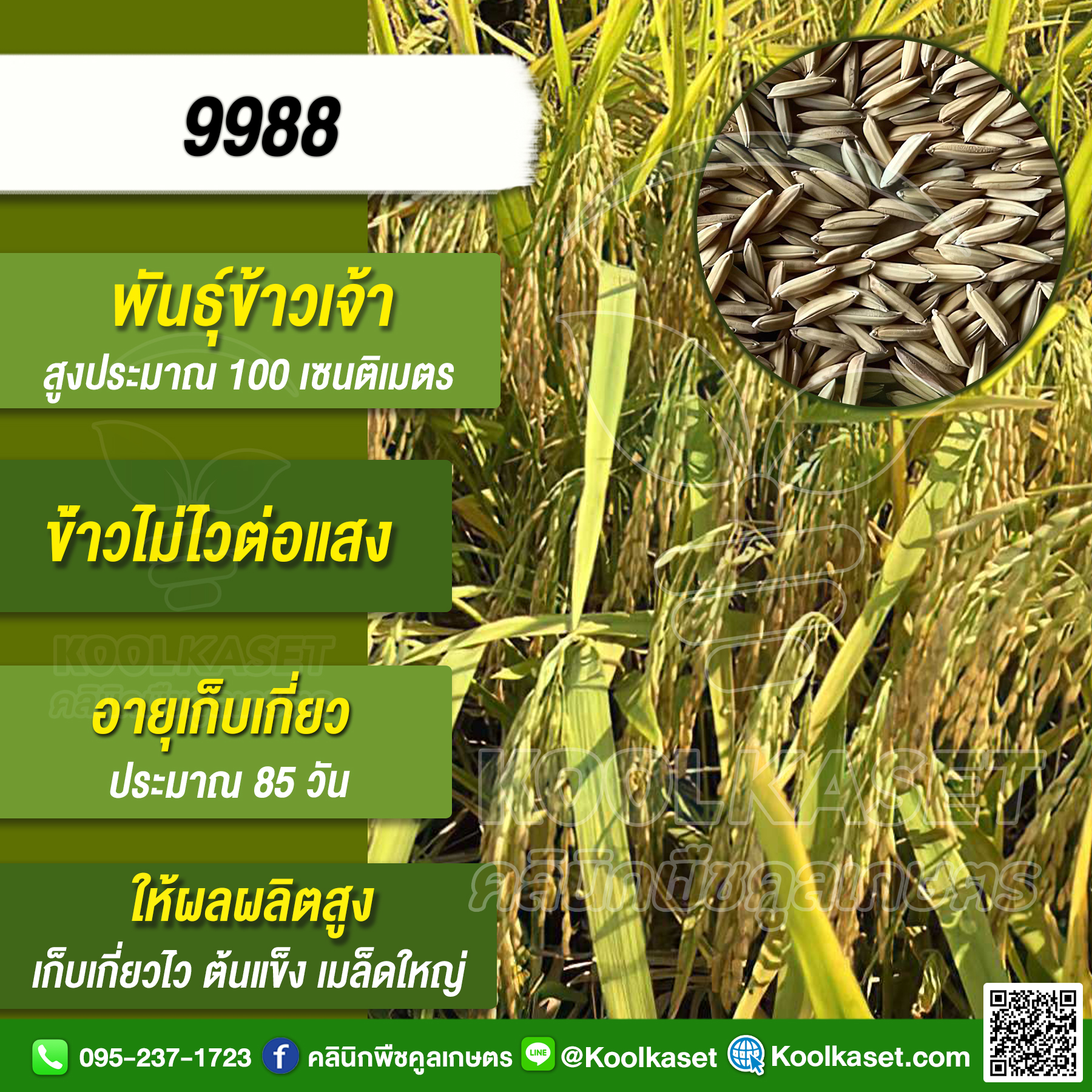 KR163 9988