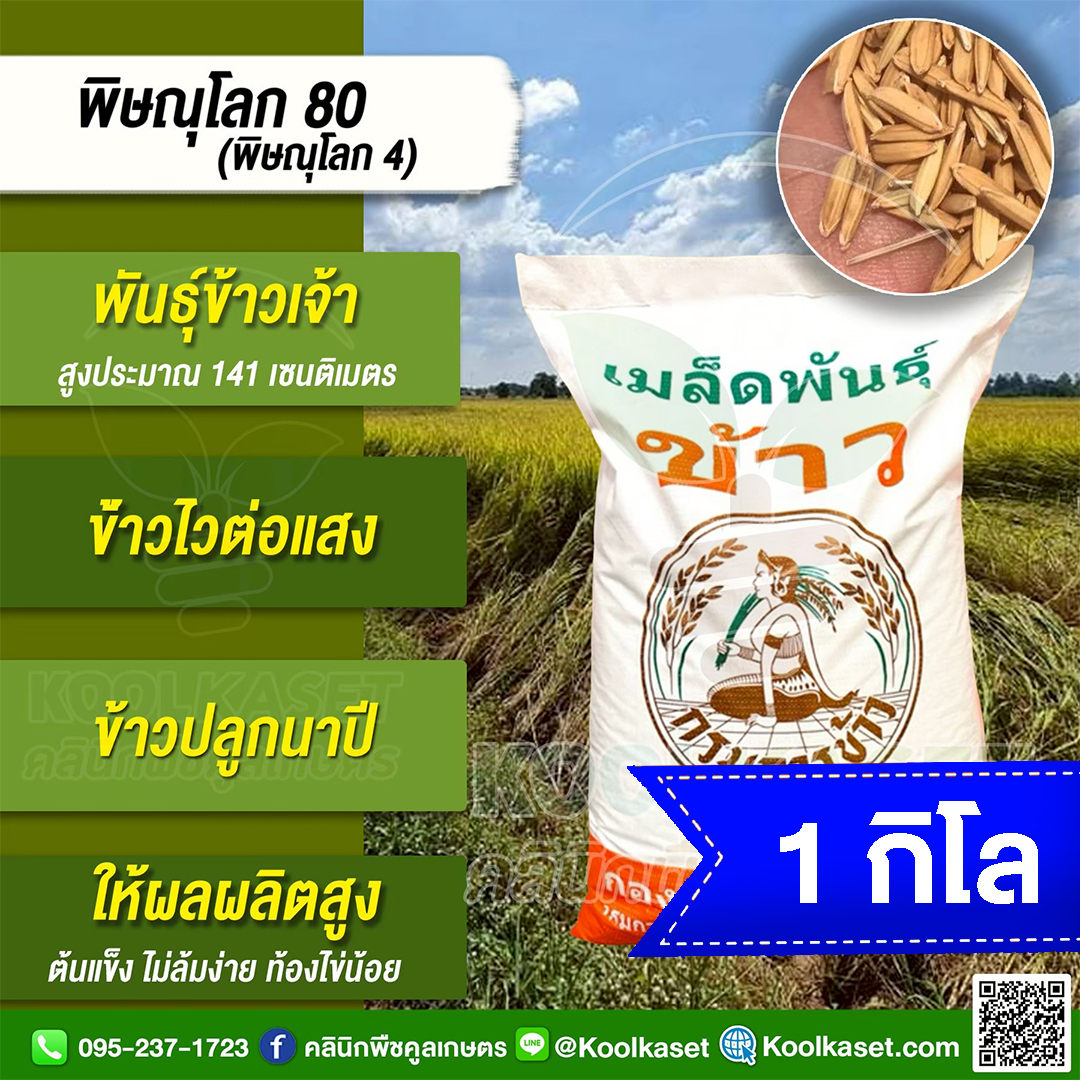 1 กก