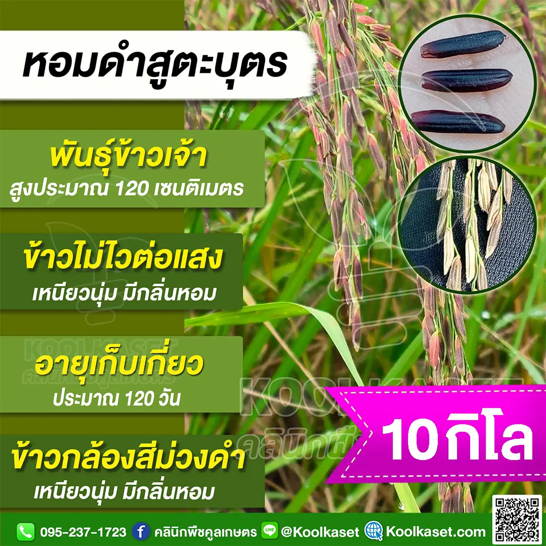 10 กก (1)