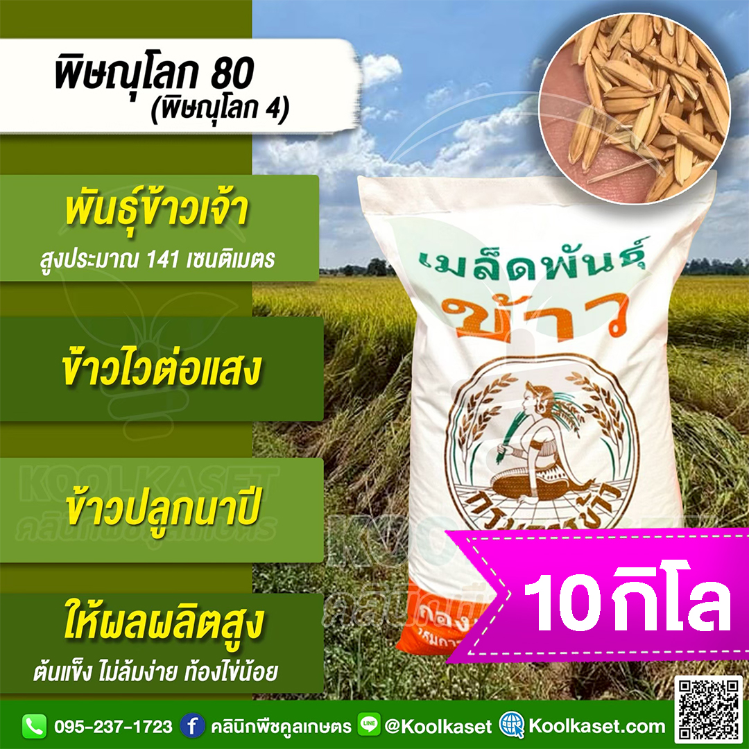 10 กก