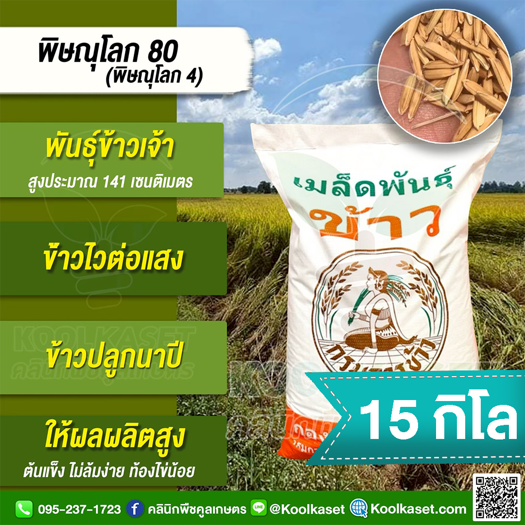 15 กก