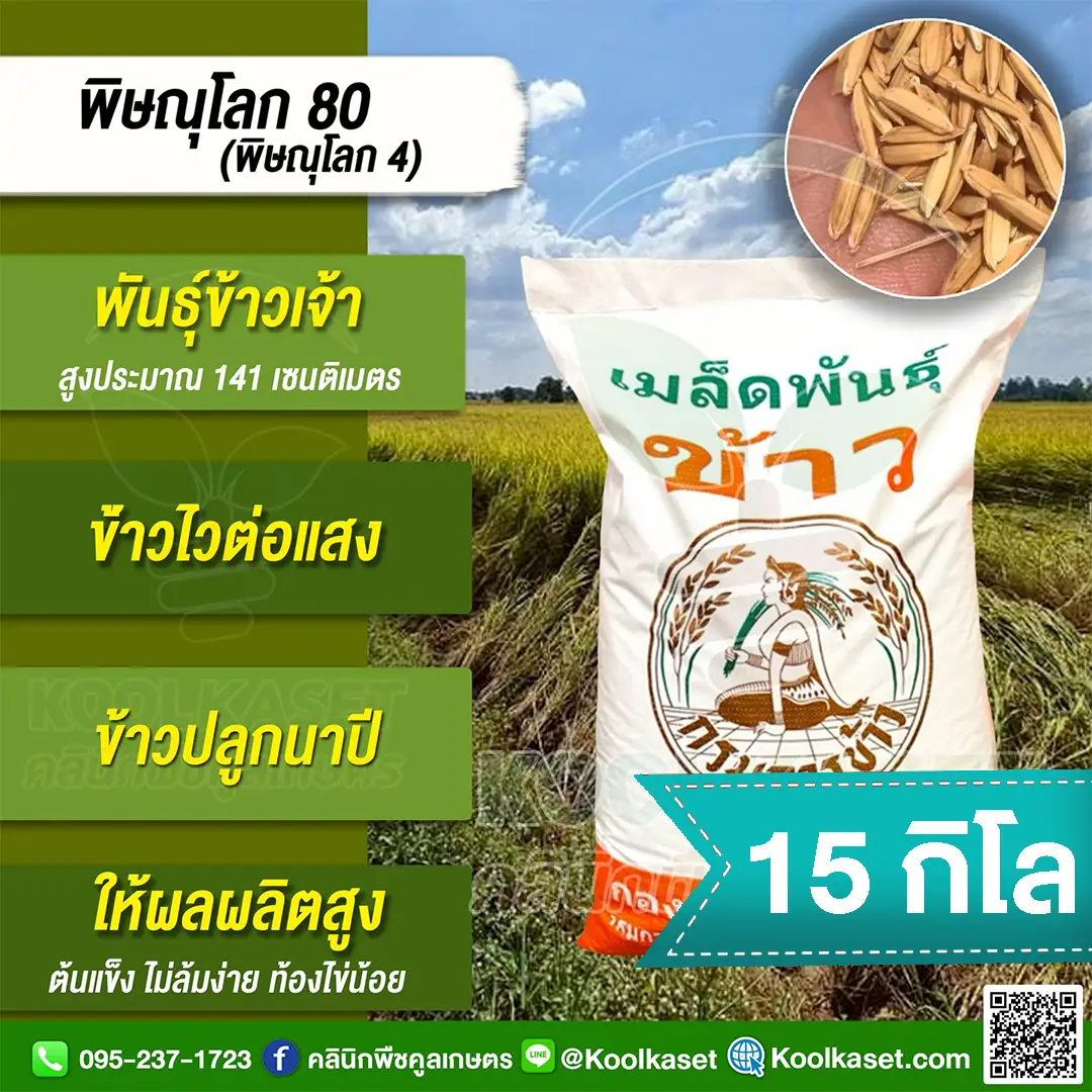 15 กก